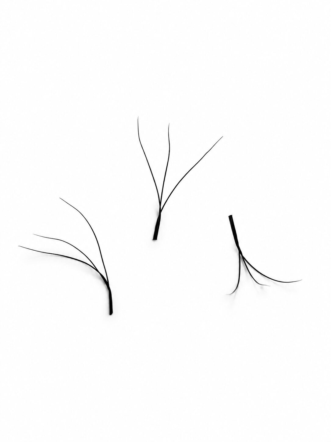 W Lashes 3D - Image 2